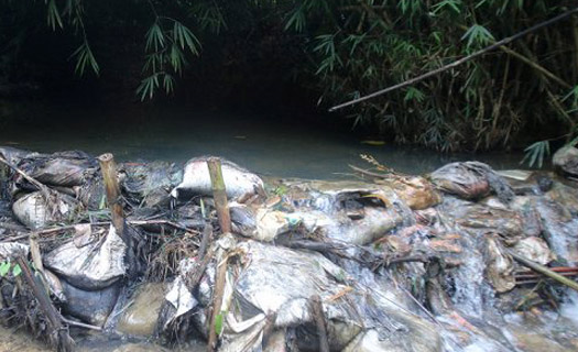 Công ty nước sạch sông Đà xả thẳng hàng nghìn mét khối nước xúc rửa bể chứa nhiễm dầu